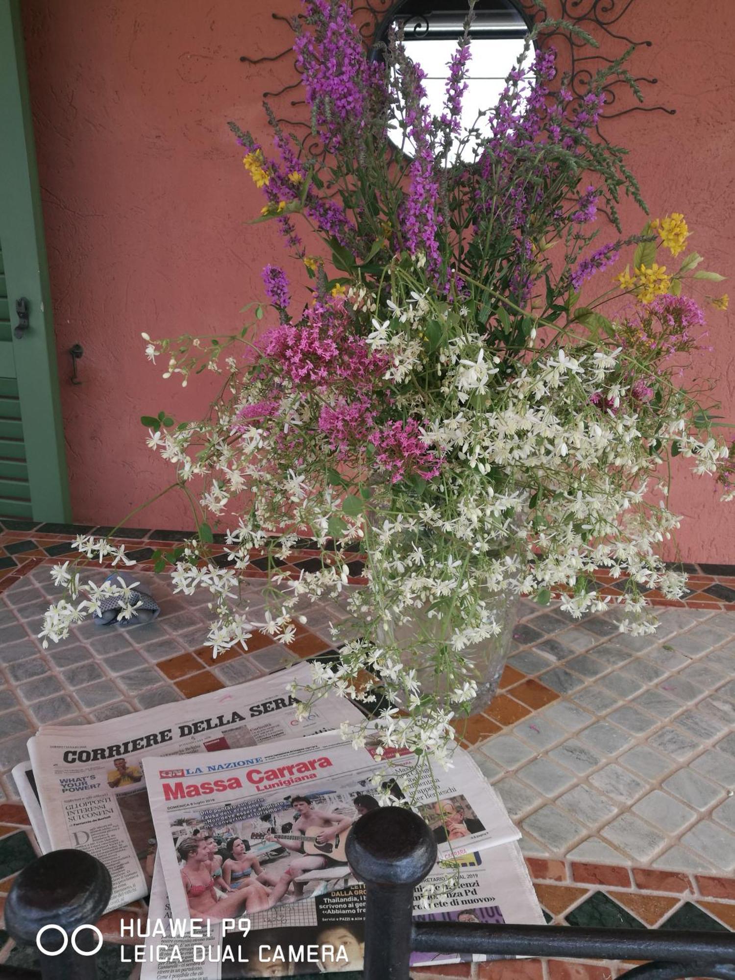 Giusy Bed And Breakfast Marina Di Carrara Exterior foto