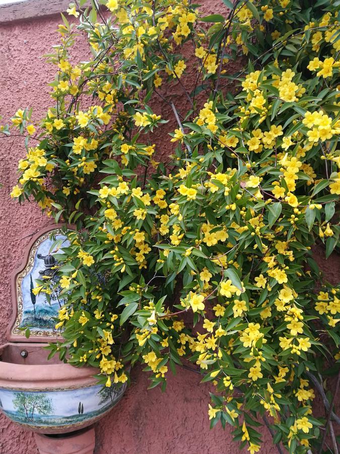 Giusy Bed And Breakfast Marina Di Carrara Exterior foto