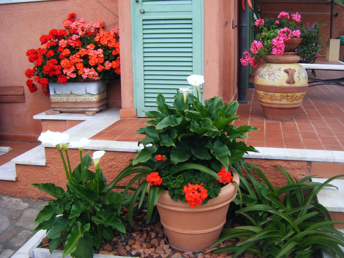 Giusy Bed And Breakfast Marina Di Carrara Exterior foto